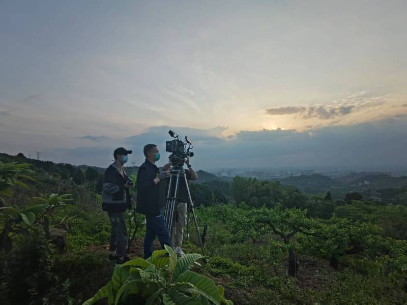 创意破圈！兴庆区电商产品宣传视频用故事化叙事引爆流量