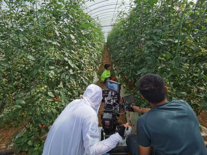 兴庆区产品宣传视频拍摄公司进阶指南，助力品牌抢占传播高地